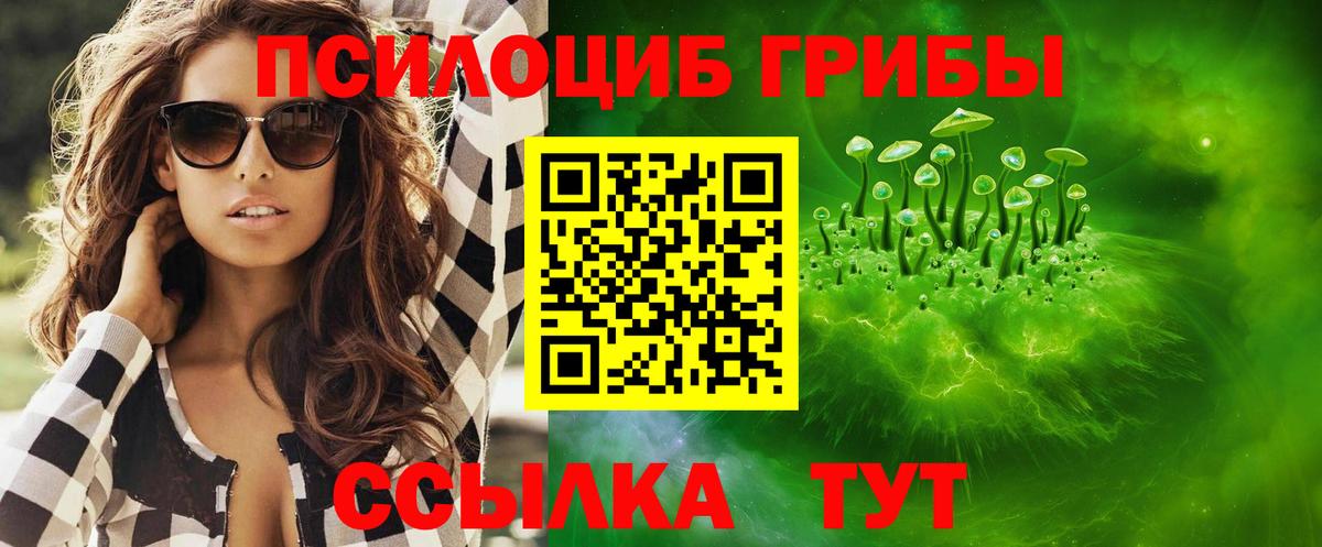 Галлюциногенные грибы Psilocybine cubensis Калач-на-Дону