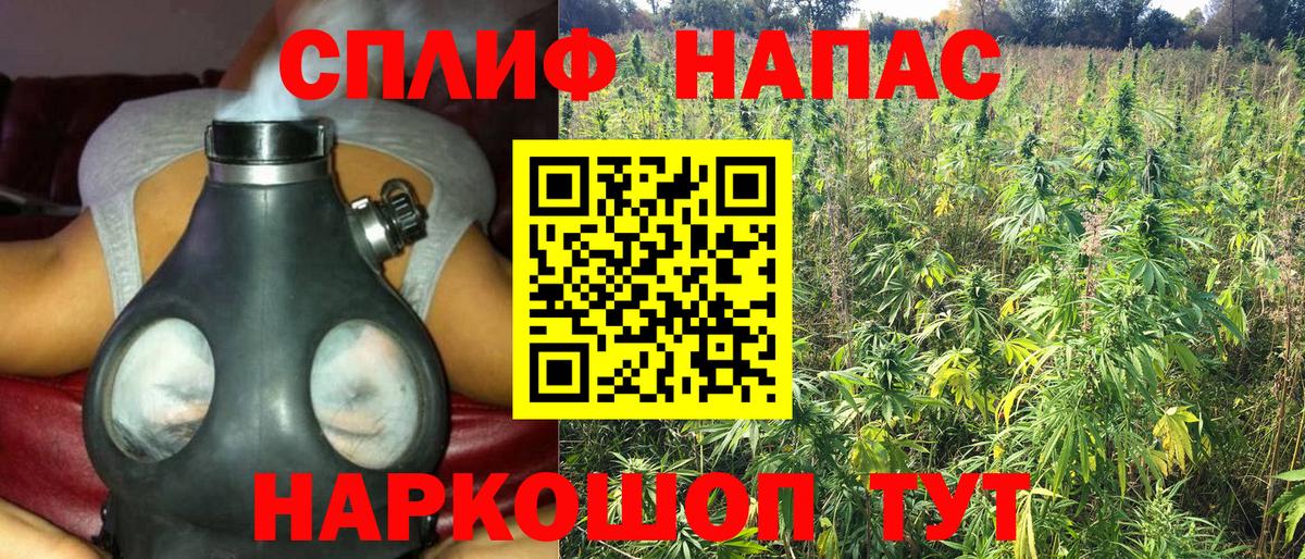 МАРИХУАНА конопля Калач-на-Дону